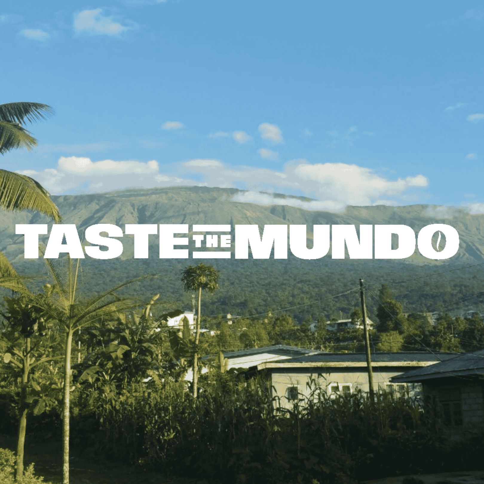 Taste the Mundo Box